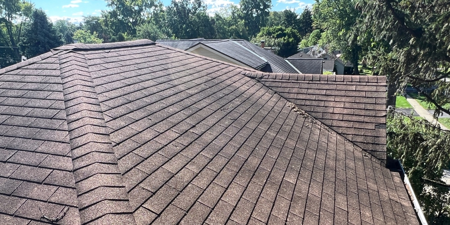Before Image